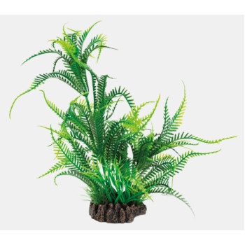 ART PLANT MICROSORIUM